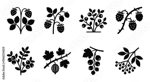 Set of stylized black berry and strawberry plant silhouettes isolated on transparent background.