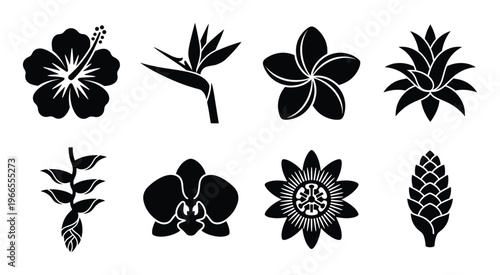 Tropical flower icons collection with hibiscus bird of paradise plumeria and orchid flower shapes
