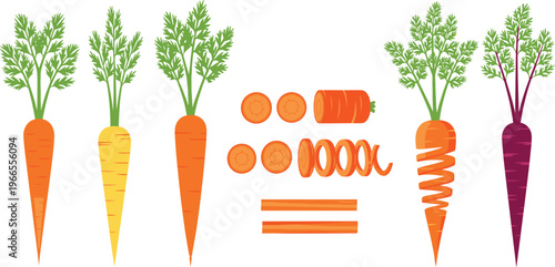 Heirloom Carrot Variety Set Featuring Orange Yellow and Purple Root Vegetables with Green Leaves Sliced Rounds and Spiral Cuts for Organic Culinary and Farming Designs