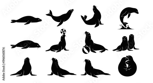 Seals and sea lions in various poses on a sandy beach