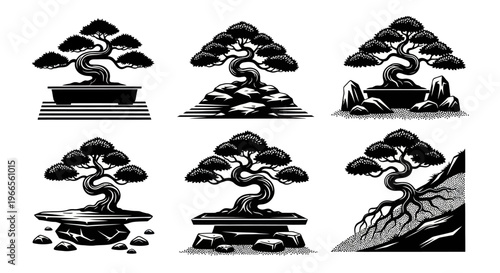 Black and white illustrations of bonsai trees in various artistic pots on a table indoors