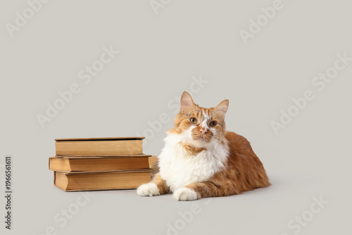 Cute cat in eyeglasses with...