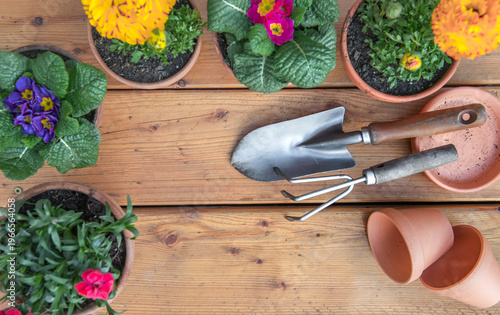 top view of small gardening tools with  on wooden background and terracotta  ...