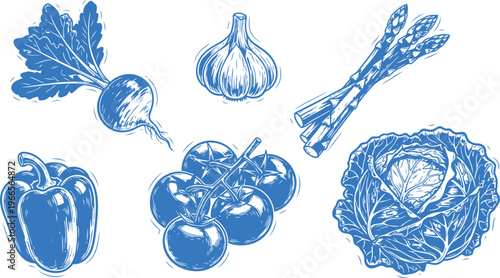 Assortment of Fresh Blue Vegetables Illustration in Classic Linocut Style on White Background
