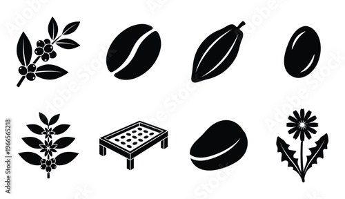 Coffee production and botanical collection featuring beans plants and harvest agriculture elements