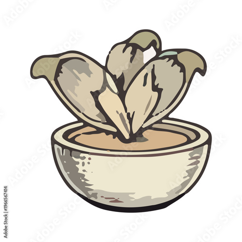 Potted Succulent Illustration