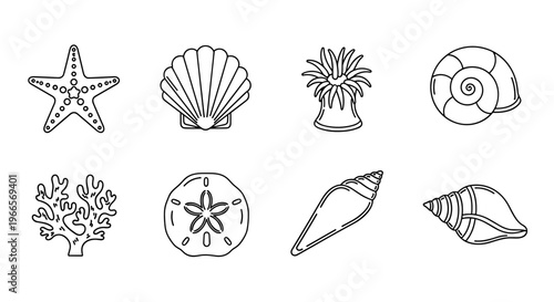 Collection of simple line art illustrations of marine life and shells