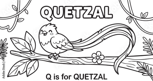 Black and white outline of a quetzal bird with long tail feathers on a branch Keywords: quetzal