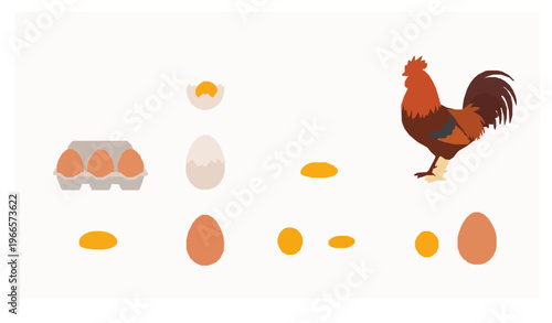 Chicken and egg vector set with poultry birds and fresh eggs in flat design isolated on white