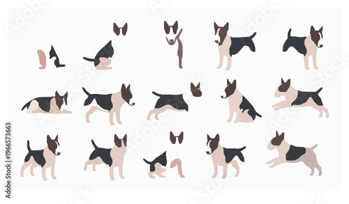 Bull Terrier dog vector set with sitting standing running and playful poses flat illustration