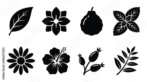 Set of black natural plant elements and flowers vector icon collection leaf mint rosehip hibiscus chamomile