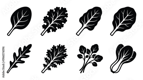 Set of fresh green salad leaves vector icons on transparent background, healthy food illustration
