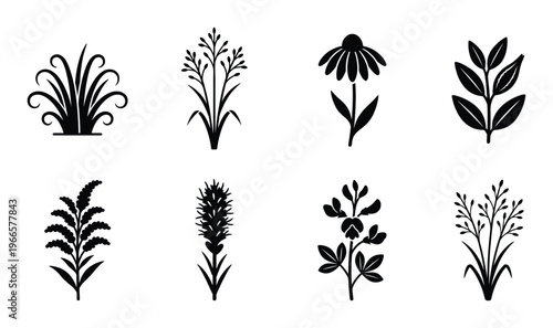 Wild meadow plants and floral silhouettes set decorative grass herbs and flower botanical collection