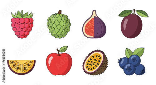 Vibrant assortment of fresh fruits vector illustrations for design