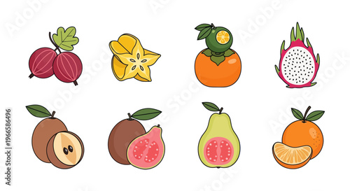 Vibrant illustrated assortment of exotic fruits in a flat vector style