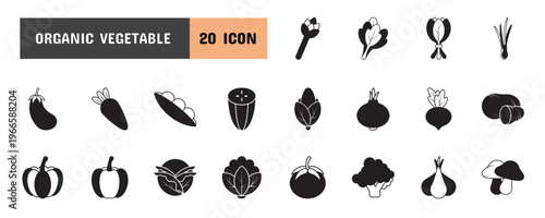 20 Organic Vegetable Glyph Icon Illustration Set
