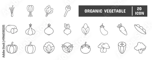 20 Organic Vegetable Line Icon Illustration Set