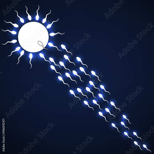 Female egg surrounded by sperm. Concept of the birth of new life. Vector illustration