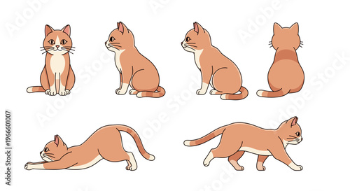 A set of six orange cat illustrations in various poses on a white background