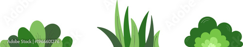 Shrub bush grass shrubbery forest tree and plant cartoon vector graphic design