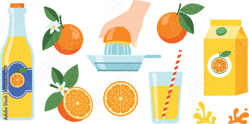 Orange juice production vector set. Flat illustrations of whole oranges, hand juicer, juice glass, bottle, and carton for breakfast and beverage branding.