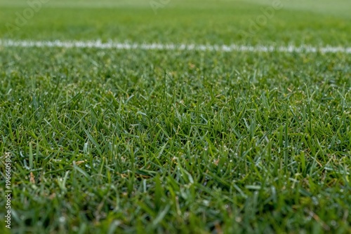 Football Field Grass Macro Shot – Clean Sports Turf with Vibrant Green Detail