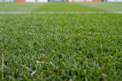 Close-Up of Soccer Pitch Grass – Detailed Green Field Texture with Natural Lighting