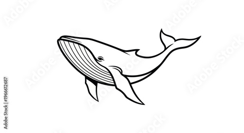 Black and white whale illustration on white background vector design