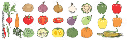 いろんな種類の野菜イラスト素材セット