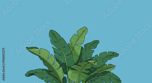 Lush Green Banana Leaves Against a Clear Blue Sky