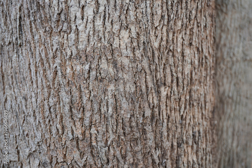 Exquisite close-up of natural teak wood texture showcasing rich golden-brown grains and organic patterns. A premium hardwood surface ideal for luxury interior design and high-end branding.