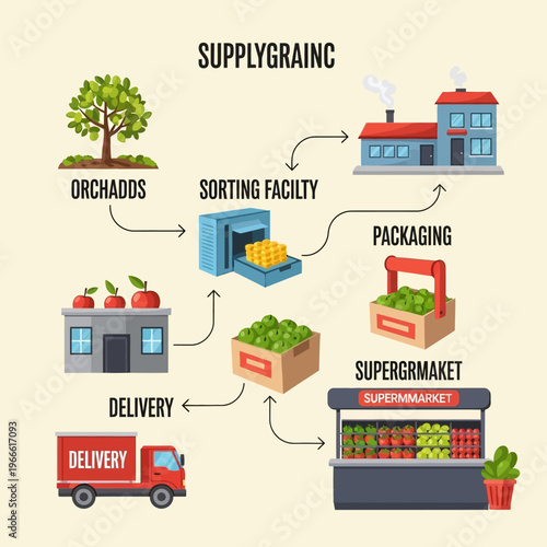 Illustrative diagram showcasing the supply chain of fruits from orchards to supermarkets, including sorting, packaging, and delivery processes.