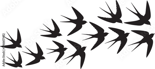 Flock of Swallows in Flight Silhouette birds flying