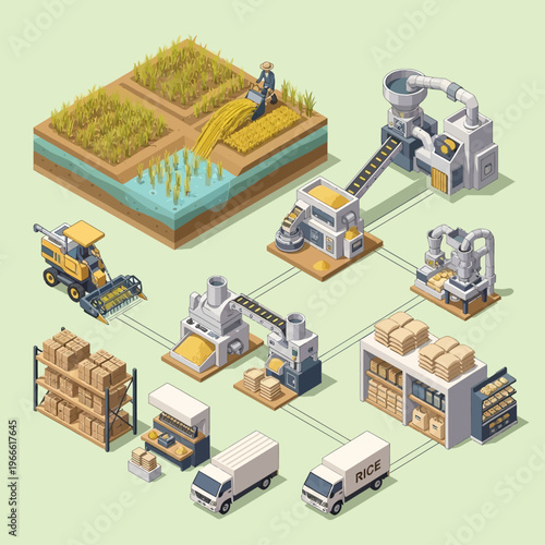 Isometric illustration depicting the entire process of rice cultivation, harvesting, processing, packaging, and distribution.