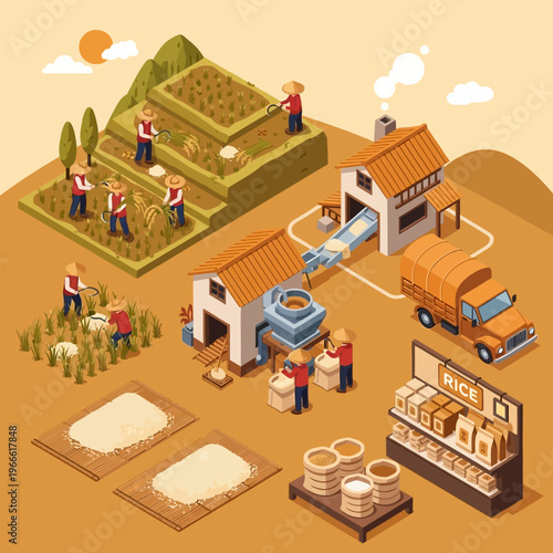 Isometric illustration depicting the entire process of rice cultivation, from farming and harvesting to processing, packaging, and distribution to a retail store.