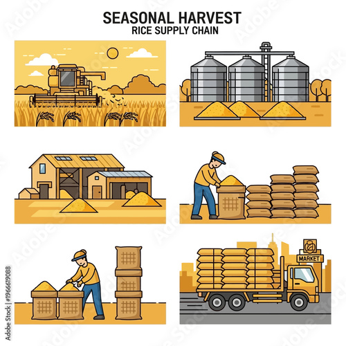Visual representation of the seasonal rice supply chain, from harvesting with a combine to transportation by truck.
