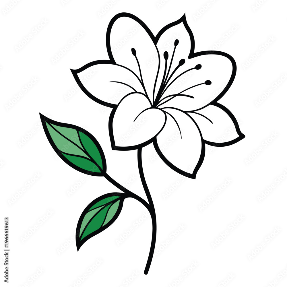 Obraz premium vector illustration of a flower