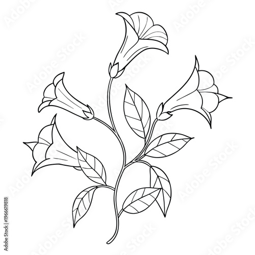 black and white flower