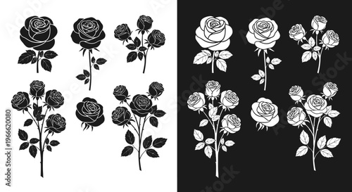 Black and white roses vector graphics, elegant floral designs, classic botanical illustrations, detailed rose bouquets, romantic flower art, vintage bloom patterns, artistic rose silhouettes