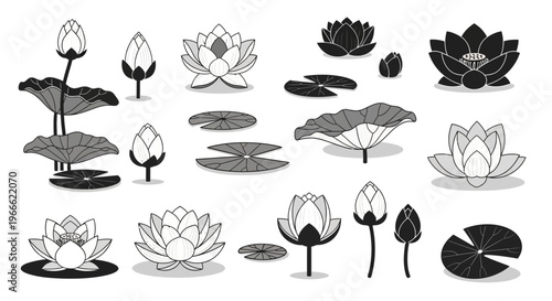 Collection of various lotus flower and lily pad illustrations in various artistic styles, including blooming flowers and buds