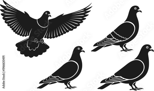 Set of pigeon silhouettes including flying bird with spread wings and three standing pigeons in varied poses with feather detailing
