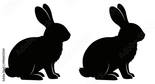 Two black rabbits in different poses a striking animal silhouette