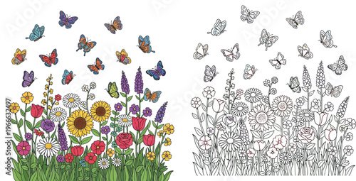 Butterfly and Flower Garden Set, Hand Drawn Illustration with Colored Version and Black and White Outline for Kids Coloring Book Page, Spring Nature Background with Sunflowers and Roses