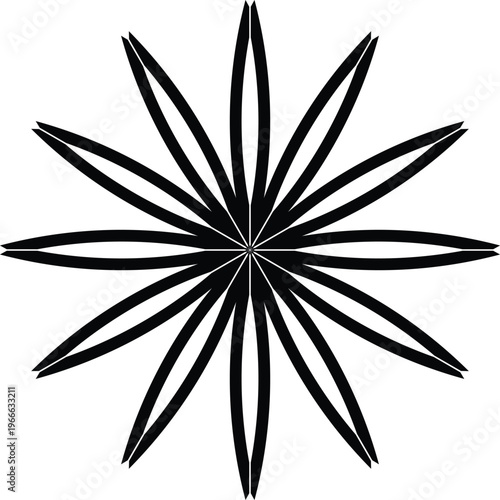 Black Floral Star Ornament with Symmetrical Geometric Mandala Design