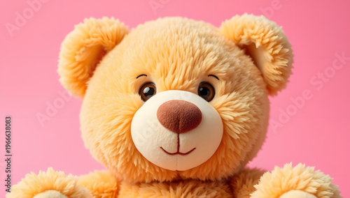 teddy bear on pink background, bear doll	