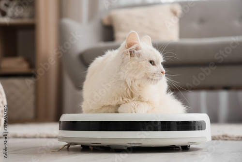 Cute white cat lying on rob...