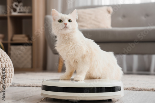 Cute white cat on robot vac...