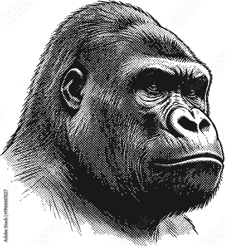 An intricate halftone illustration capturing the dignified profile of a mature gorilla, emphasizing the raw strength and thoughtful expression of the great ape in a striking monochromatic artwork