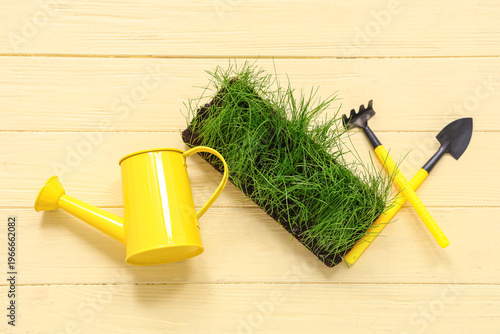 Soil with fresh green wheat...