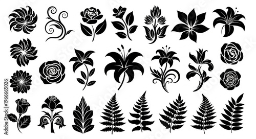 Collection of Black and White Floral and Leaf Silhouettes.